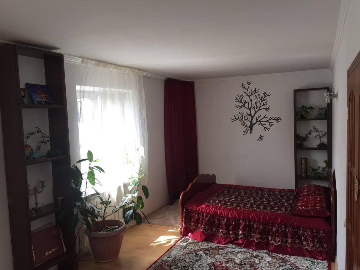 Guest House On Maksimova 9 Almaty Esterno foto